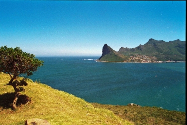 Cape Floral, Kap der Guten Hoffnung, Südafrika